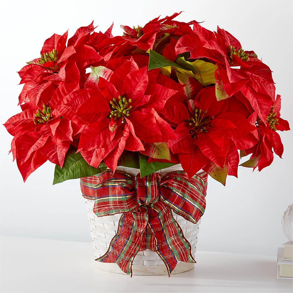 Happiest Holidays Poinsettia – Greater Wichita Flower Shop, Wichita KS