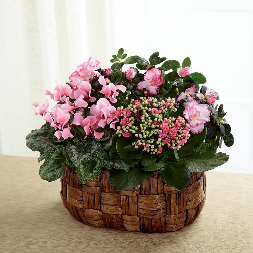 Pink Assortment – Greater Wichita Flower Shop, Wichita KS