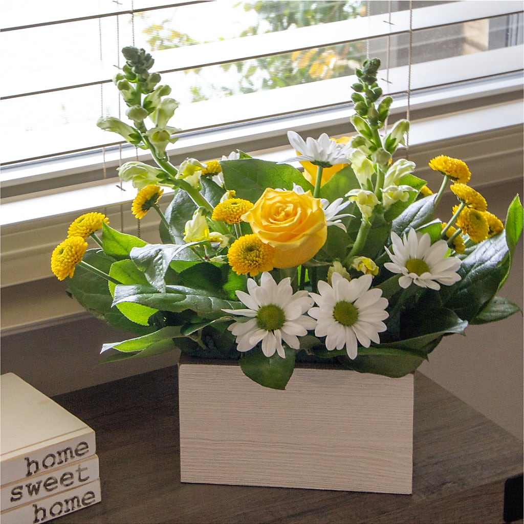 Sun Salutation Box Bouquet – Greater Wichita Flower Shop, Wichita KS