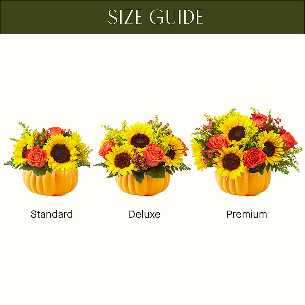 Pick of the Patch Pumpkin Bouquet – Greater Wichita Flower Shop, Wichita KS