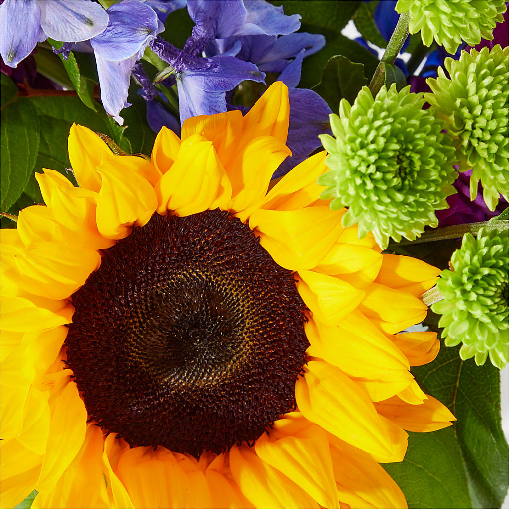 Catching Rays Bouquet – Greater Wichita Flower Shop, Wichita KS