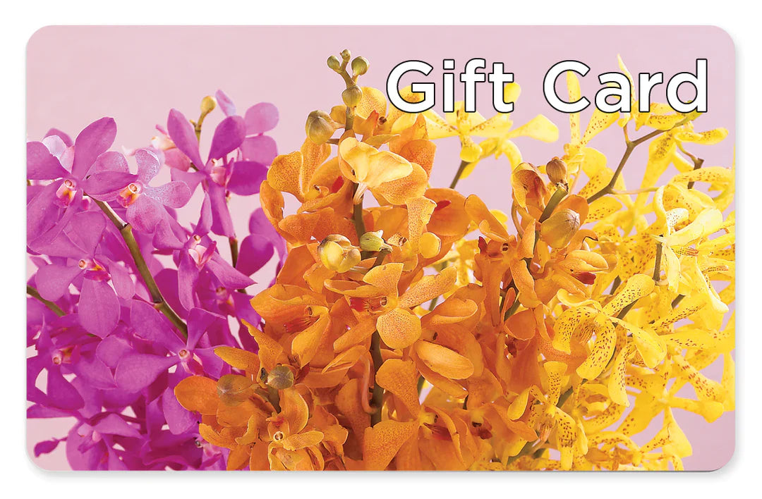 Gift Card – Greater Wichita Flower Shop, Wichita KS