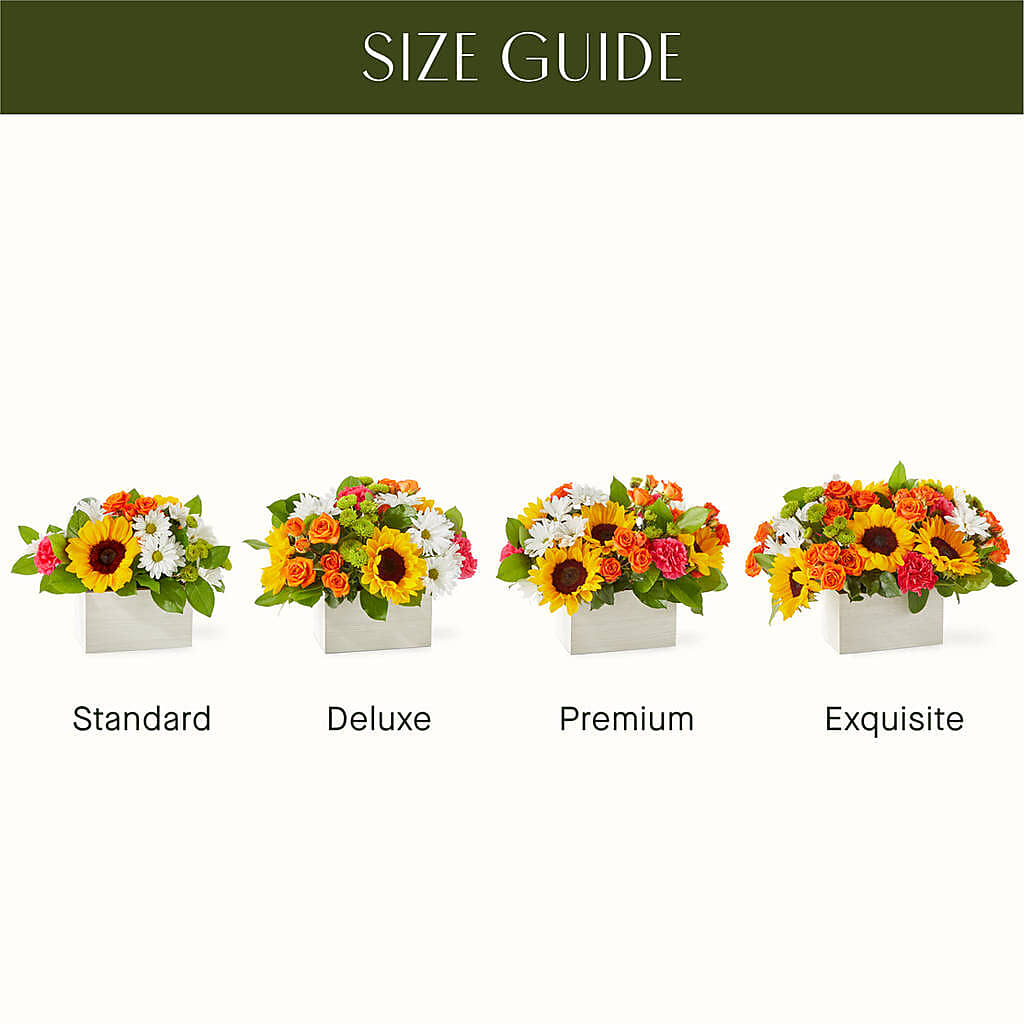 Sun-drenched Blooms Box Bouquet – Greater Wichita Flower Shop, Wichita KS
