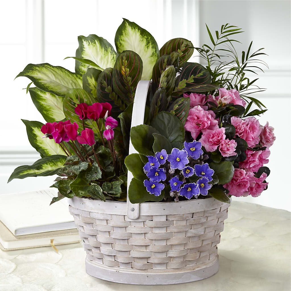 Peaceful Garden Planter – Greater Wichita Flower Shop, Wichita KS