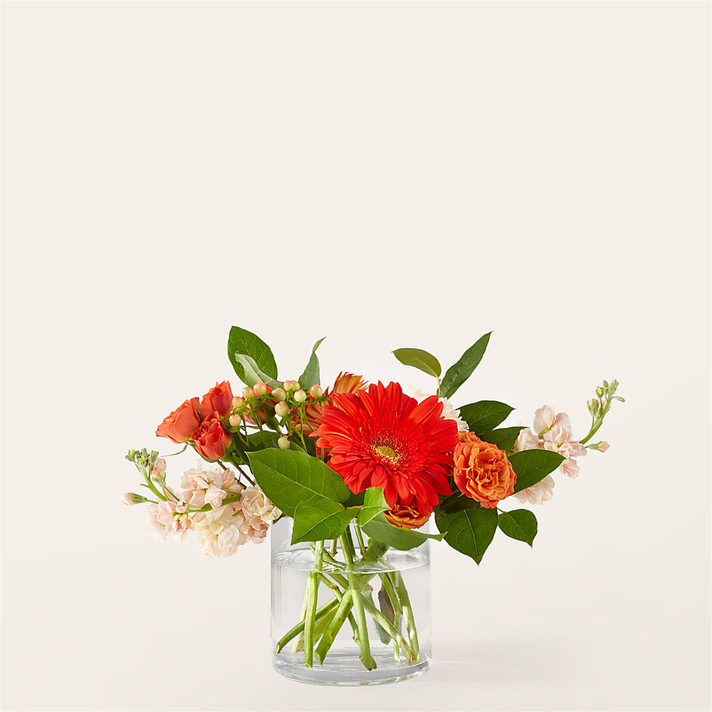 Paloma Please Bouquet – Greater Wichita Flower Shop, Wichita KS