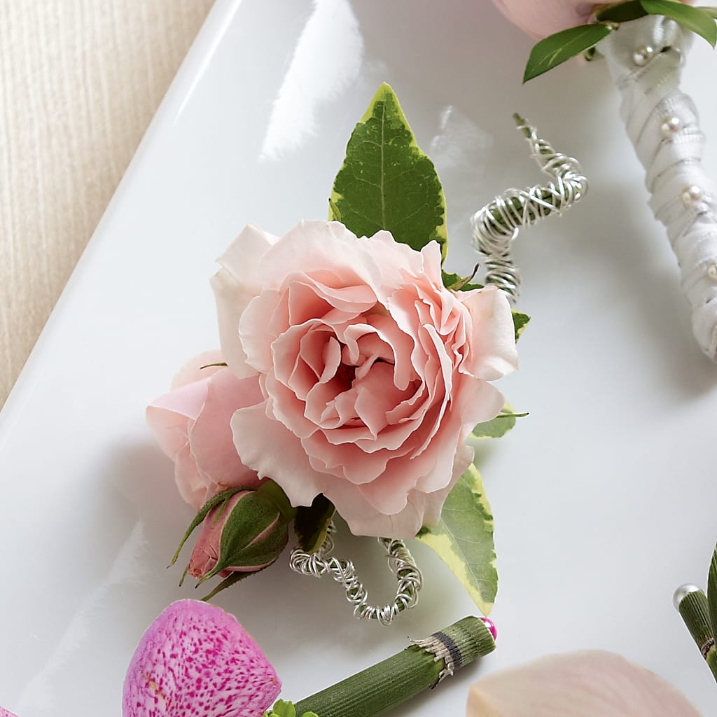 Pink Spray Rose Boutonniere – Greater Wichita Flower Shop, Wichita KS