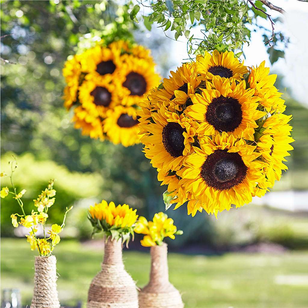 Sublime Garden Hanging Arrangement – Greater Wichita Flower Shop, Wichita KS