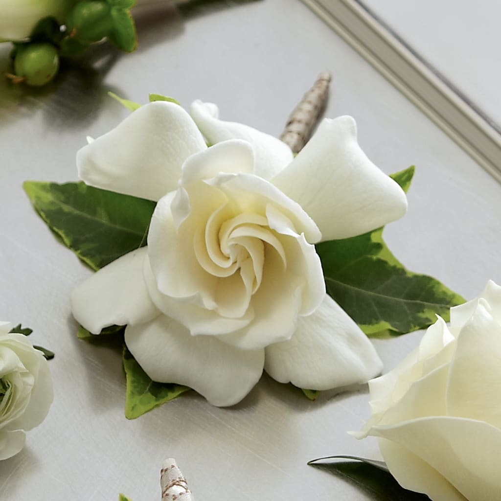 Gardenia Boutonniere – Greater Wichita Flower Shop, Wichita KS