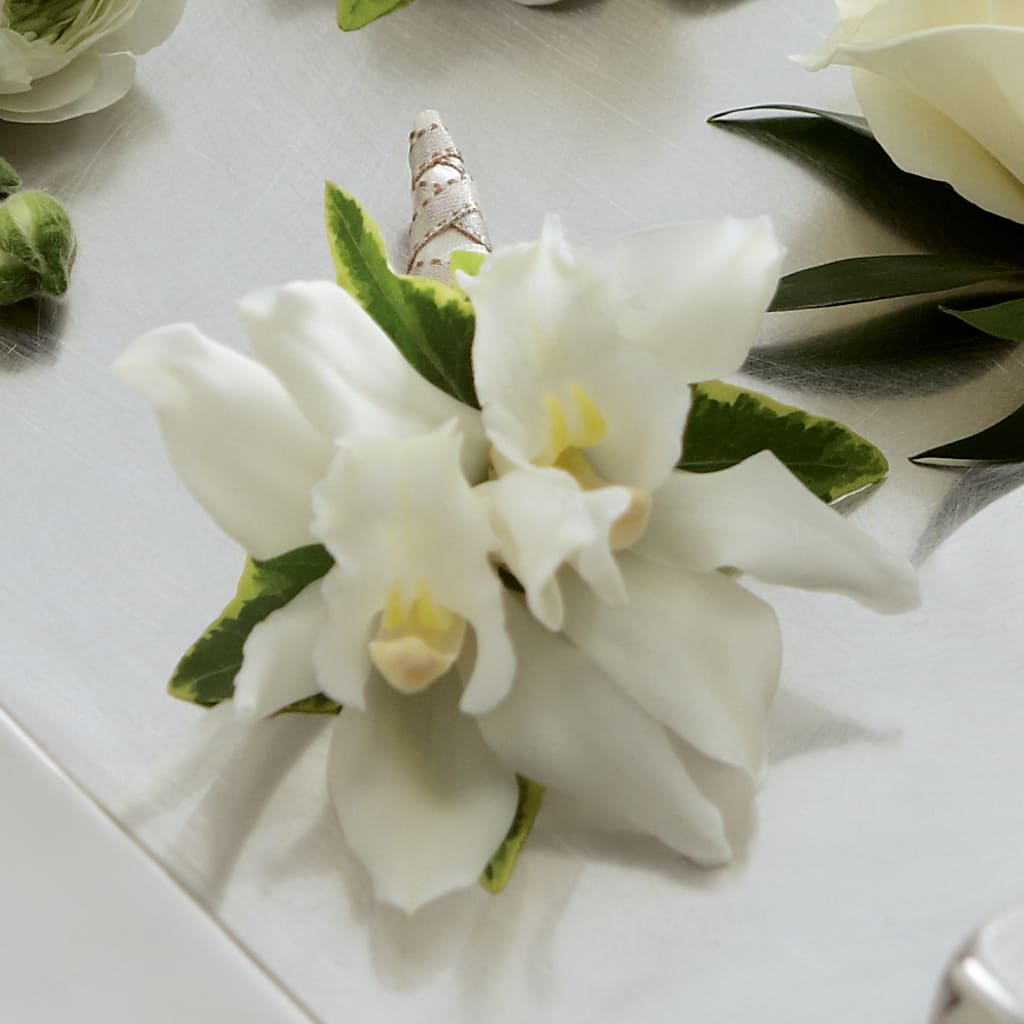 White Mini Cymbidium Boutonniere – Greater Wichita Flower Shop, Wichita KS