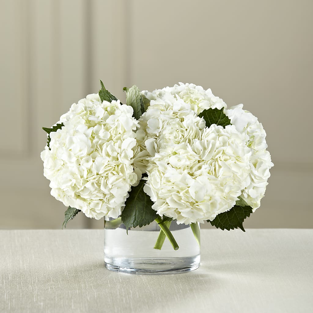 White Hydrangea Bouquet – Greater Wichita Flower Shop, Wichita KS
