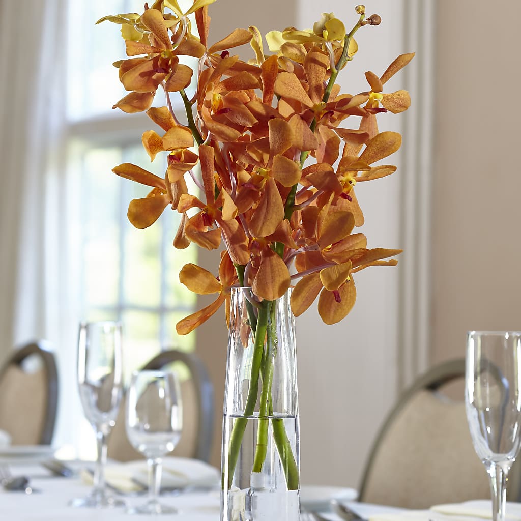 Orange Mokara Bud Vase – Greater Wichita Flower Shop, Wichita KS