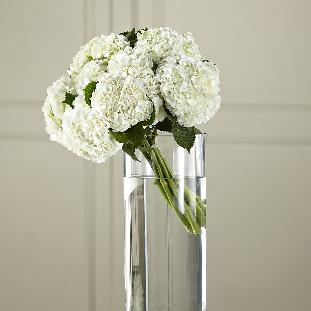 White Hydrangea Hand-Tied Bouquet – Greater Wichita Flower Shop, Wichita KS
