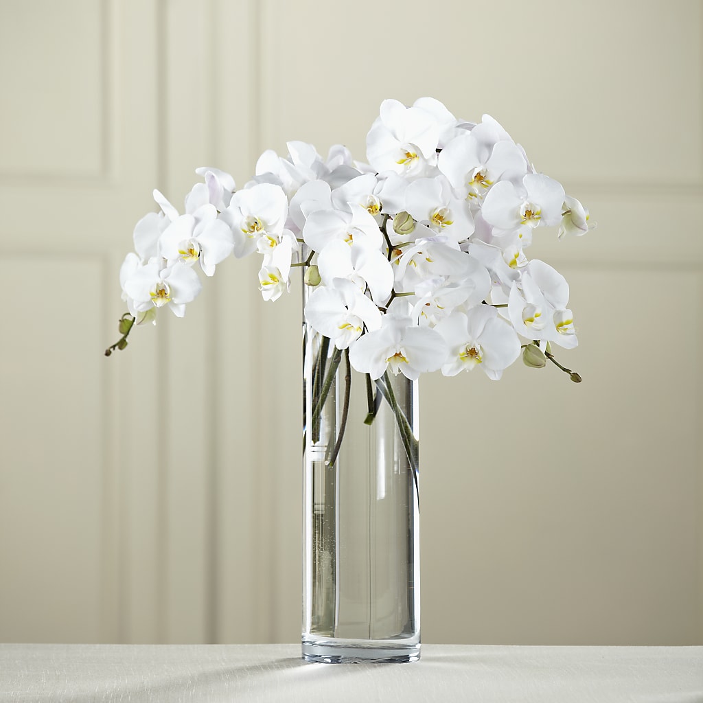 White Phalaenopsis Bouquet – Greater Wichita Flower Shop, Wichita KS