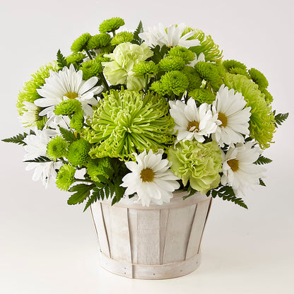 Lucky Charm Basket (Standard) –  Greater Wichita Flower Shop, Wichita KS