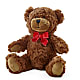 Adorable Plush Bear –  Greater Wichita Flower Shop, Wichita KS