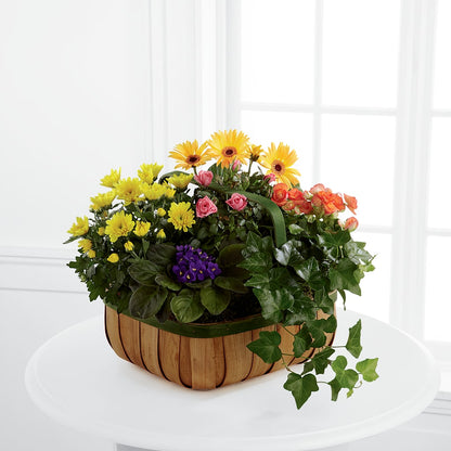 Gentle Blossoms Basket –  Greater Wichita Flower Shop, Wichita KS