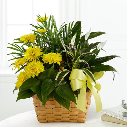 Loving Light Dishgarden –  Greater Wichita Flower Shop, Wichita KS