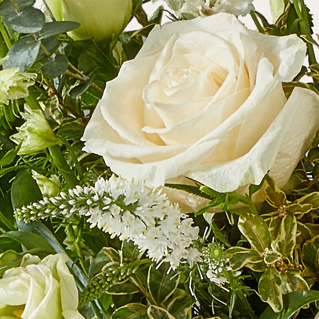 Cashmere Bouquet –  Greater Wichita Flower Shop, Wichita KS