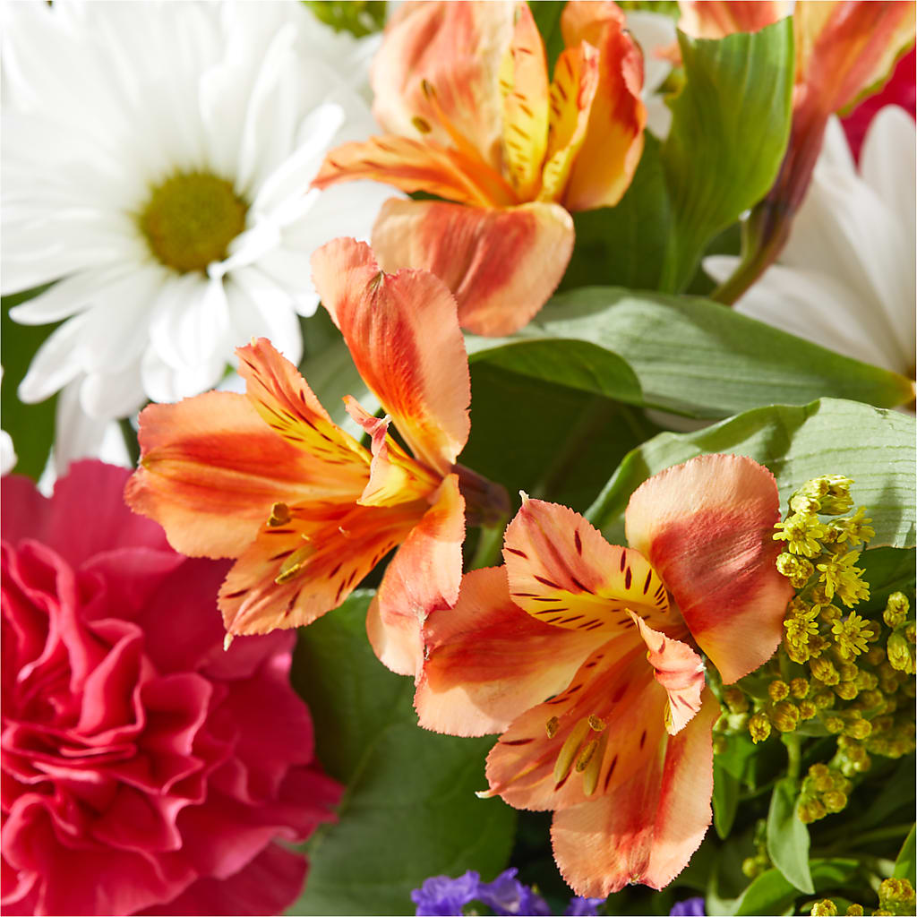 Oopsie Daisy Box Bouquet –  Greater Wichita Flower Shop, Wichita KS