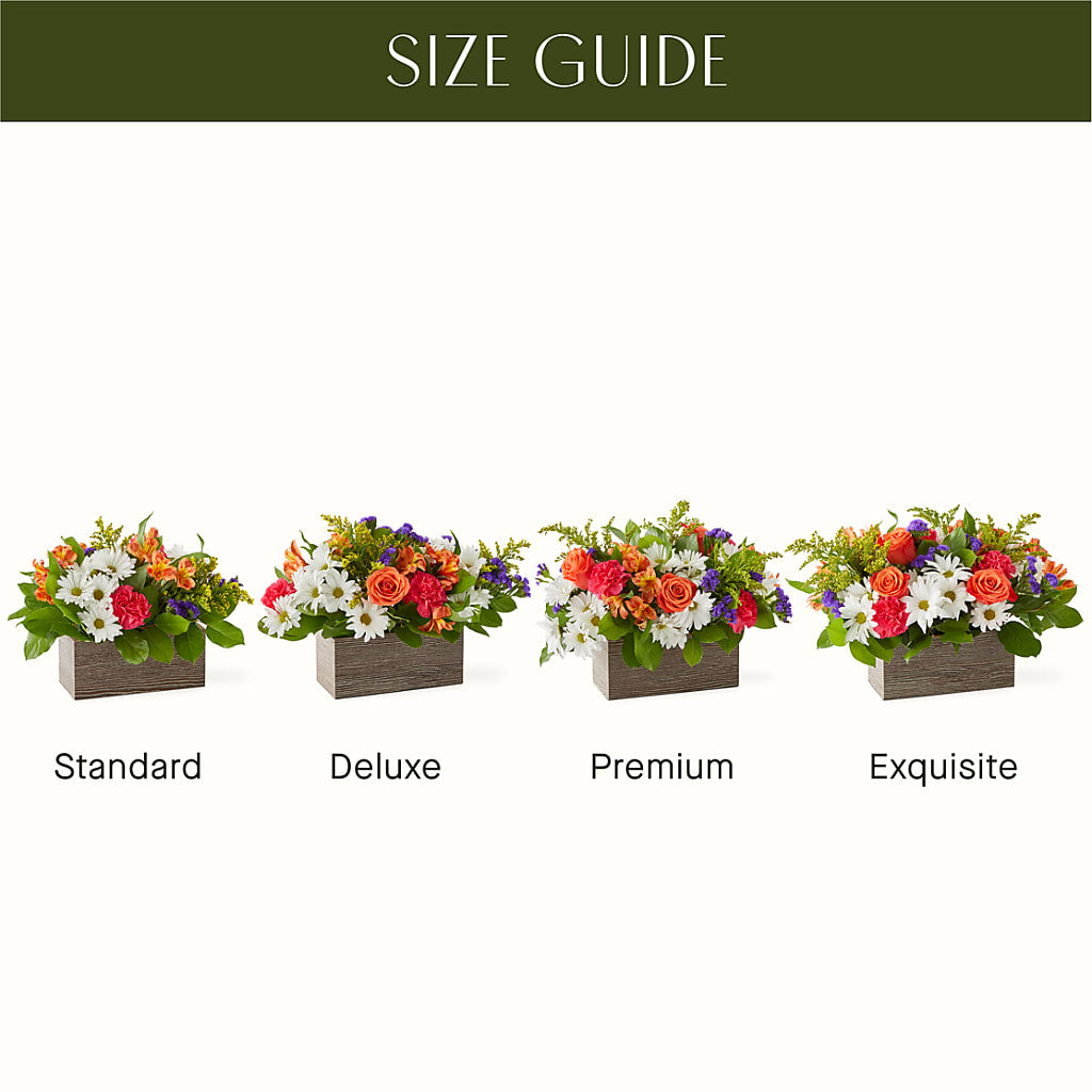 Oopsie Daisy Box Bouquet –  Greater Wichita Flower Shop, Wichita KS