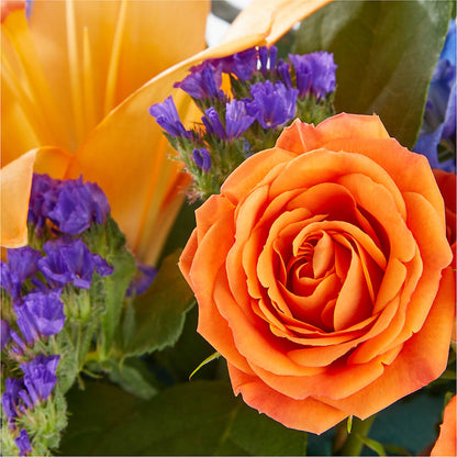 Radiant Citrus Box Bouquet –  Greater Wichita Flower Shop, Wichita KS