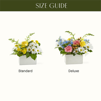 Sun Salutation Box Bouquet –  Greater Wichita Flower Shop, Wichita KS