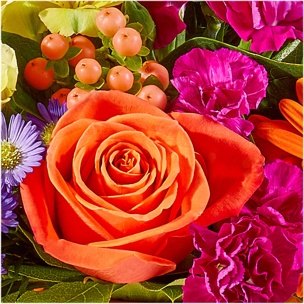 Tricks & Treats Pumpkin –  Greater Wichita Flower Shop, Wichita KS