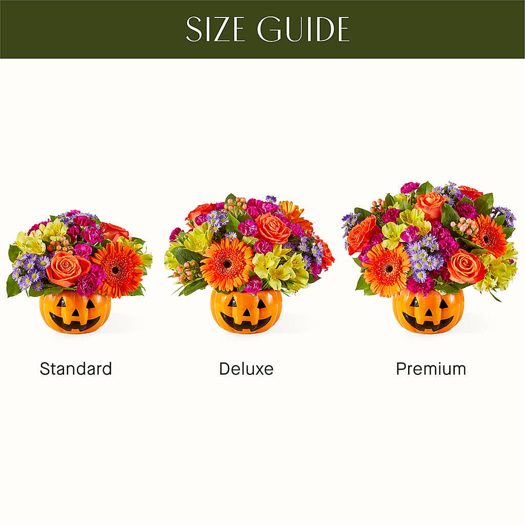 Tricks & Treats Pumpkin –  Greater Wichita Flower Shop, Wichita KS