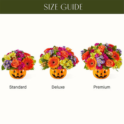 Tricks & Treats Pumpkin –  Greater Wichita Flower Shop, Wichita KS