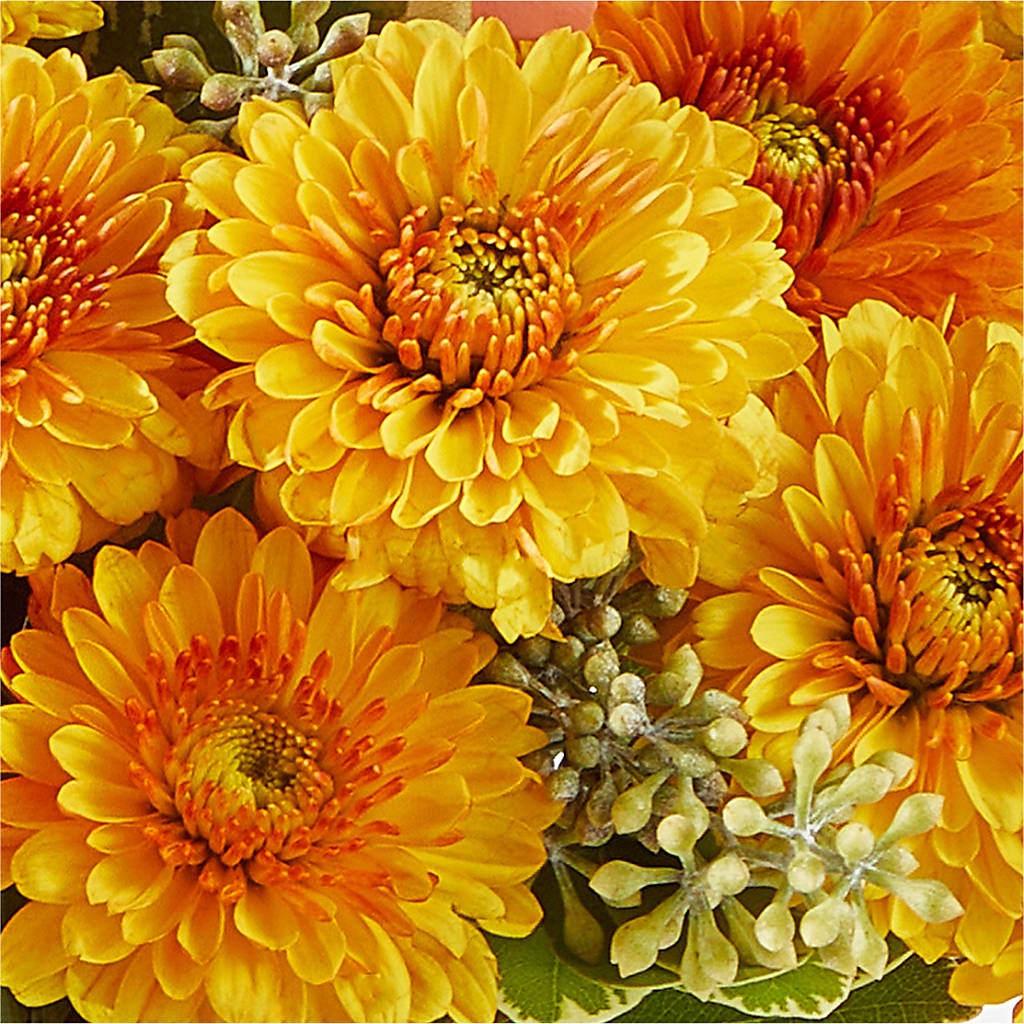 Peachy Pumpkin –  Greater Wichita Flower Shop, Wichita KS