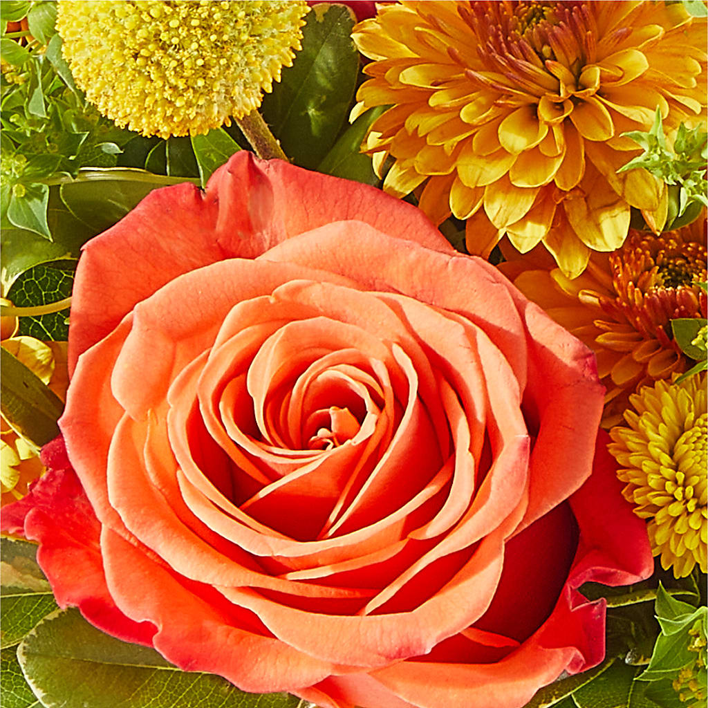 Gourdgeous Pumpkin –  Greater Wichita Flower Shop, Wichita KS