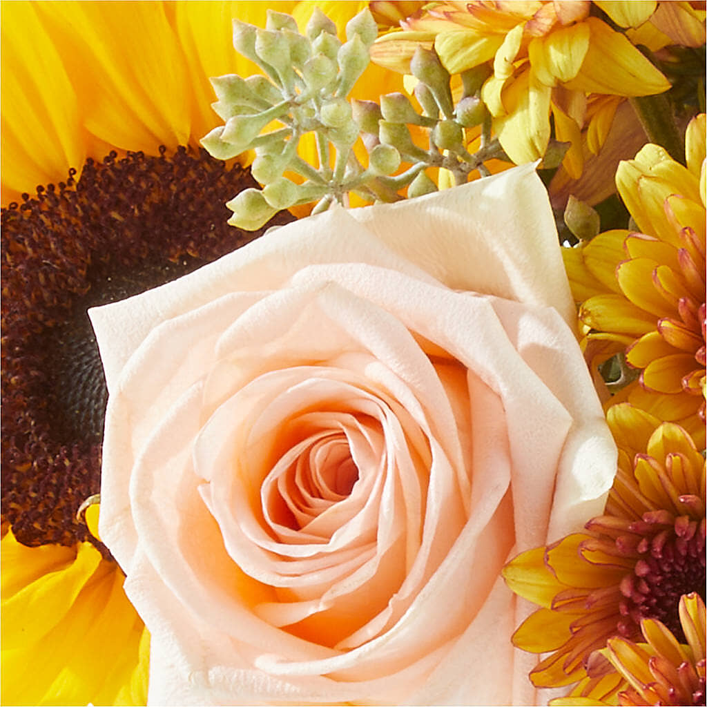 Pumpkin to Talk About Bouquet –  Greater Wichita Flower Shop, Wichita KS