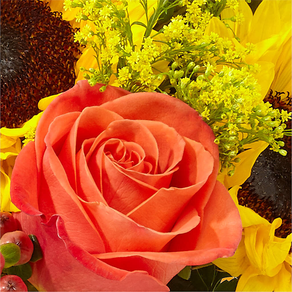 Pick of the Patch Pumpkin Bouquet –  Greater Wichita Flower Shop, Wichita KS