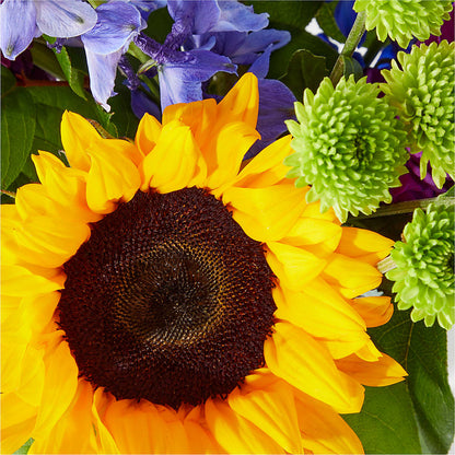 Catching Rays Bouquet –  Greater Wichita Flower Shop, Wichita KS