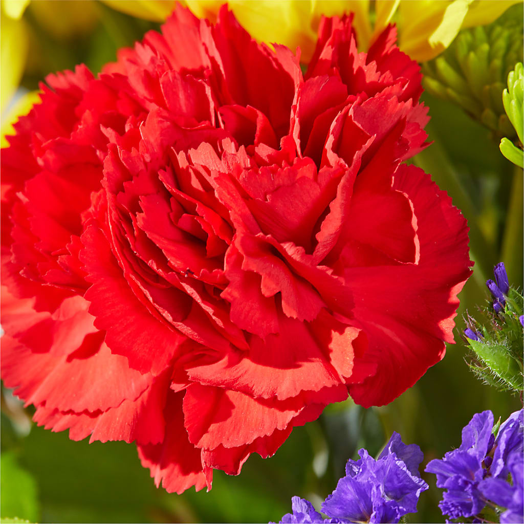 Brighter Days Bouquet –  Greater Wichita Flower Shop, Wichita KS