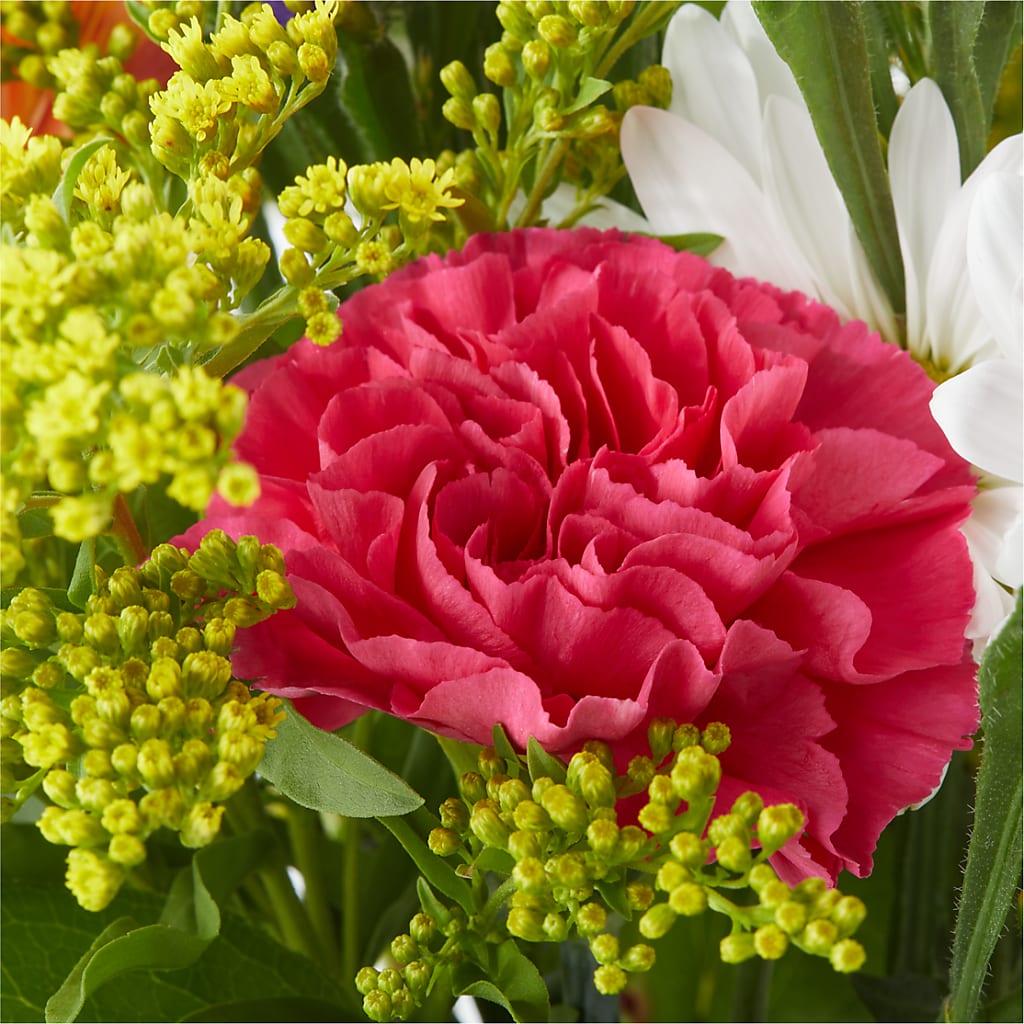 Oopsie Daisy Bouquet –  Greater Wichita Flower Shop, Wichita KS