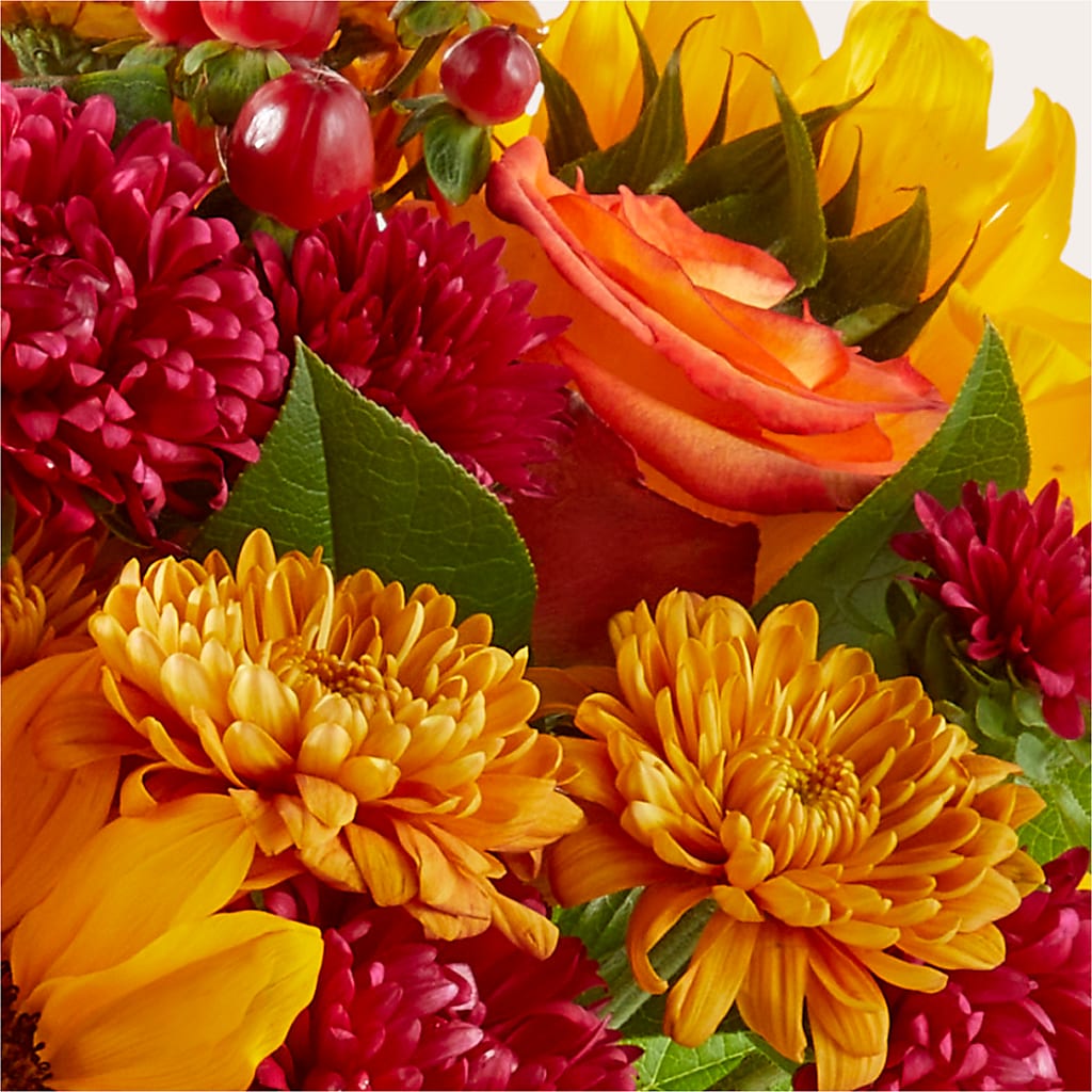 Sweater Season - A Florist Original –  Greater Wichita Flower Shop, Wichita KS