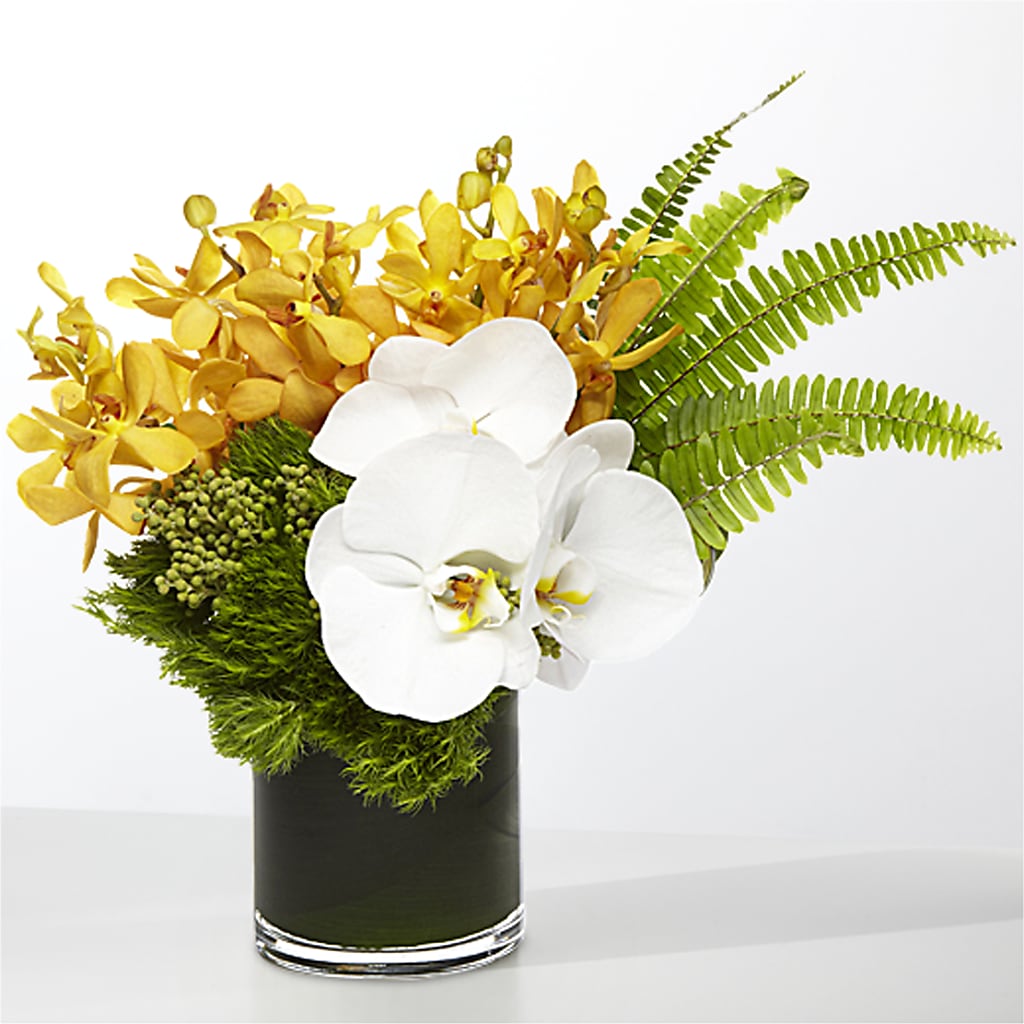 The Tropics –  Greater Wichita Flower Shop, Wichita KS