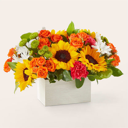 Sun-drenched Blooms Box Bouquet –  Greater Wichita Flower Shop, Wichita KS