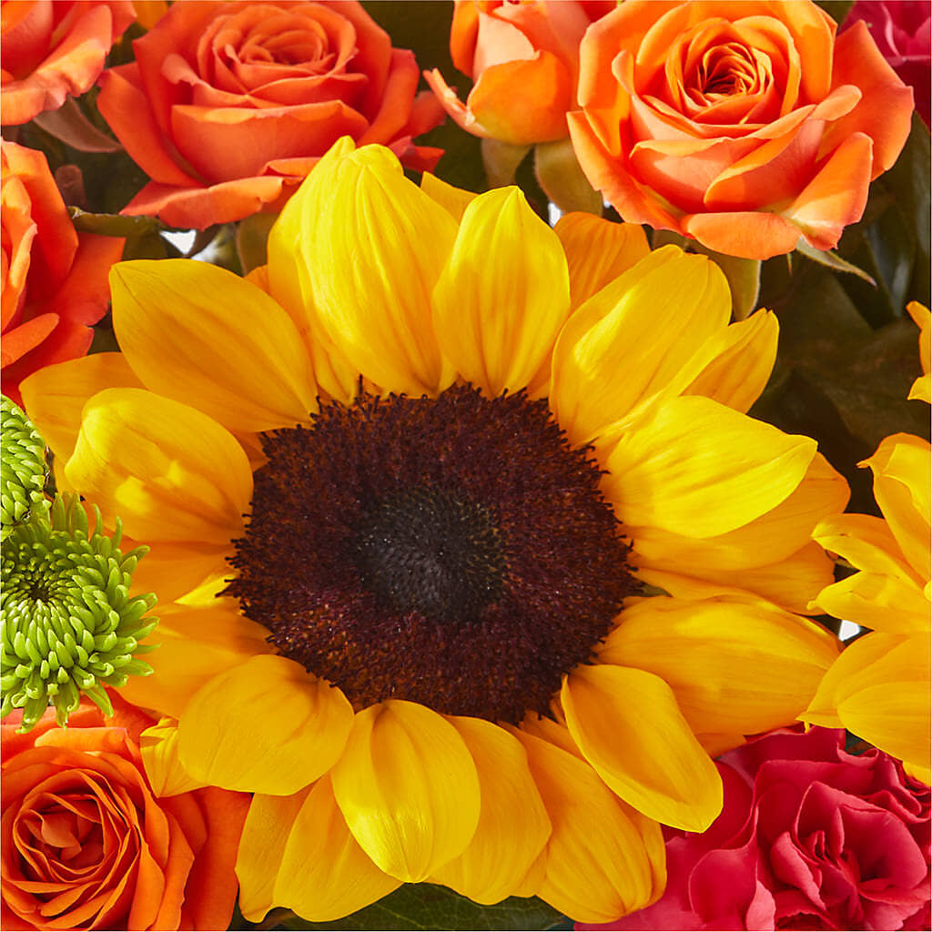 Sun-drenched Blooms Box Bouquet –  Greater Wichita Flower Shop, Wichita KS