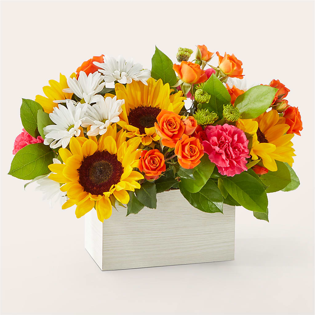 Sun-drenched Blooms Box Bouquet –  Greater Wichita Flower Shop, Wichita KS