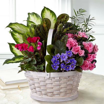 Peaceful Garden Planter –  Greater Wichita Flower Shop, Wichita KS