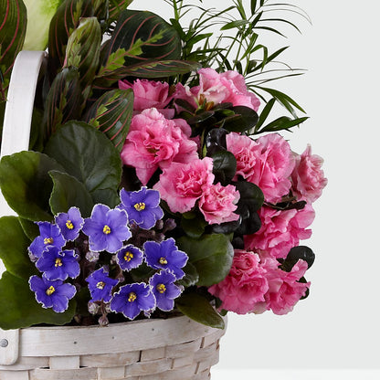 Peaceful Garden Planter –  Greater Wichita Flower Shop, Wichita KS