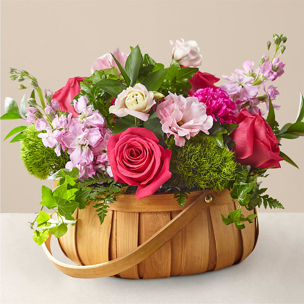 Cesta Radiance in Bloom