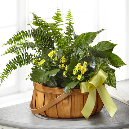 Always Dear Dishgarden –  Greater Wichita Flower Shop, Wichita KS