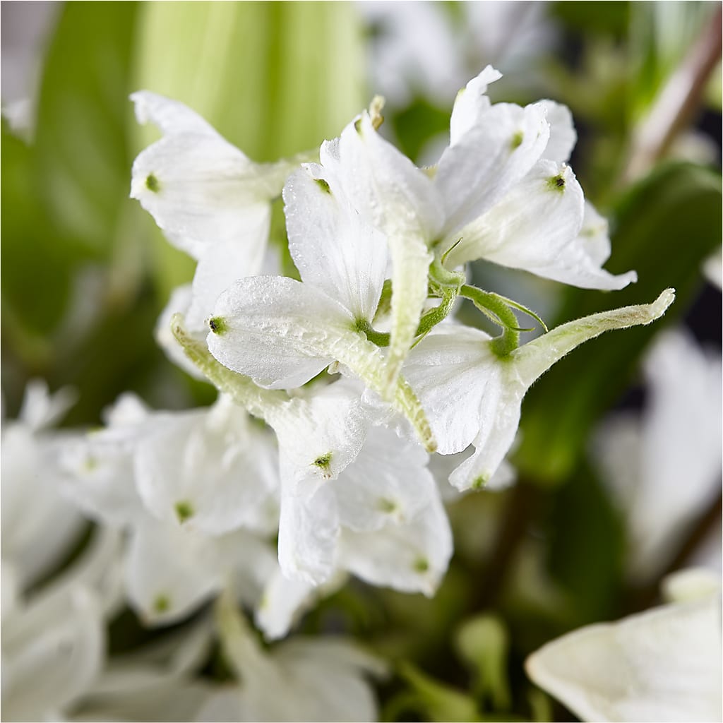 Classic Ivory – A Florist Original –  Greater Wichita Flower Shop, Wichita KS