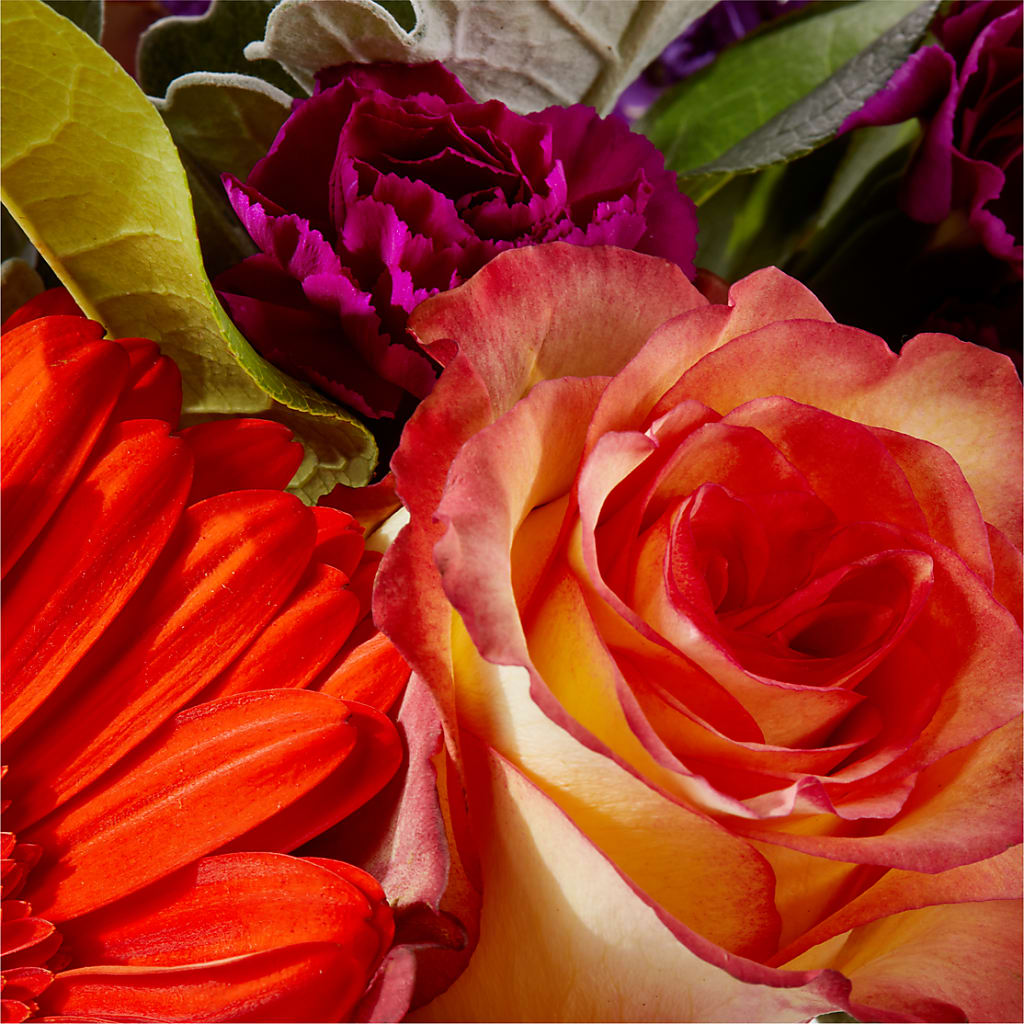 Sangria Bouquet –  Greater Wichita Flower Shop, Wichita KS