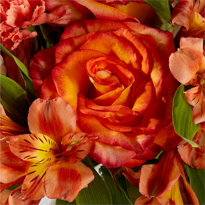 Apricot Glow Bouquet –  Greater Wichita Flower Shop, Wichita KS