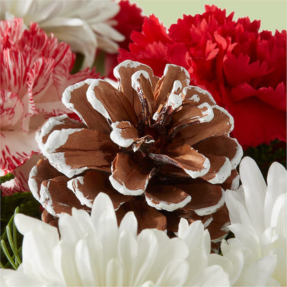 Candy Cane Lane Bouquet –  Greater Wichita Flower Shop, Wichita KS