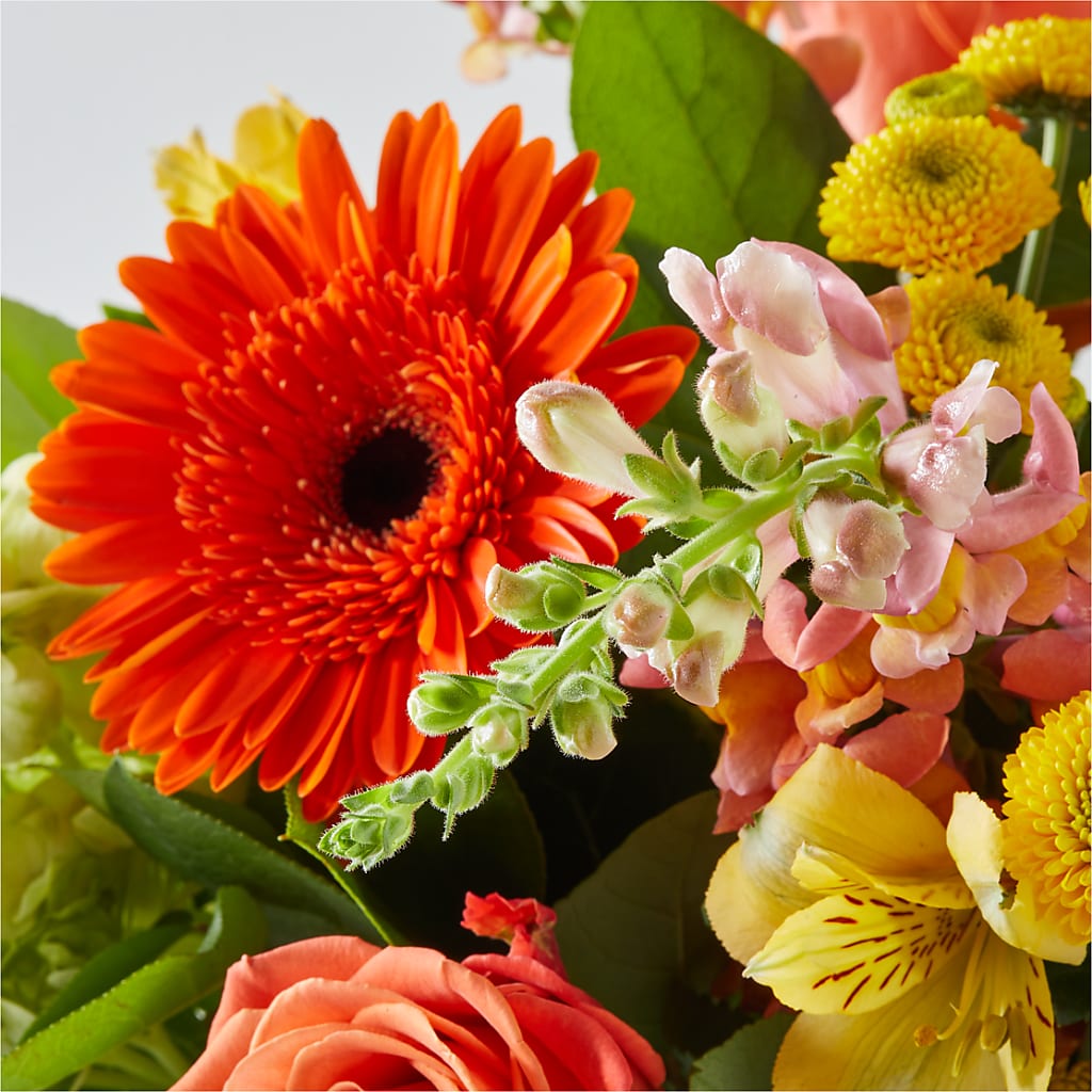 Autumn Sunshine Bouquet –  Greater Wichita Flower Shop, Wichita KS